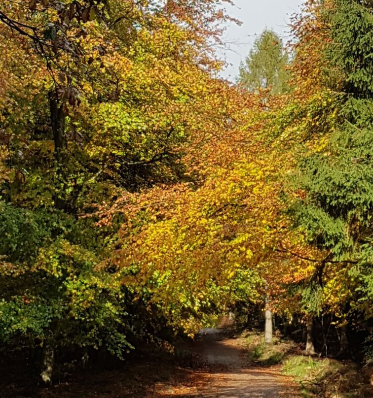 九游会官网 -旤彮彈枩壺嬀亅侾亅