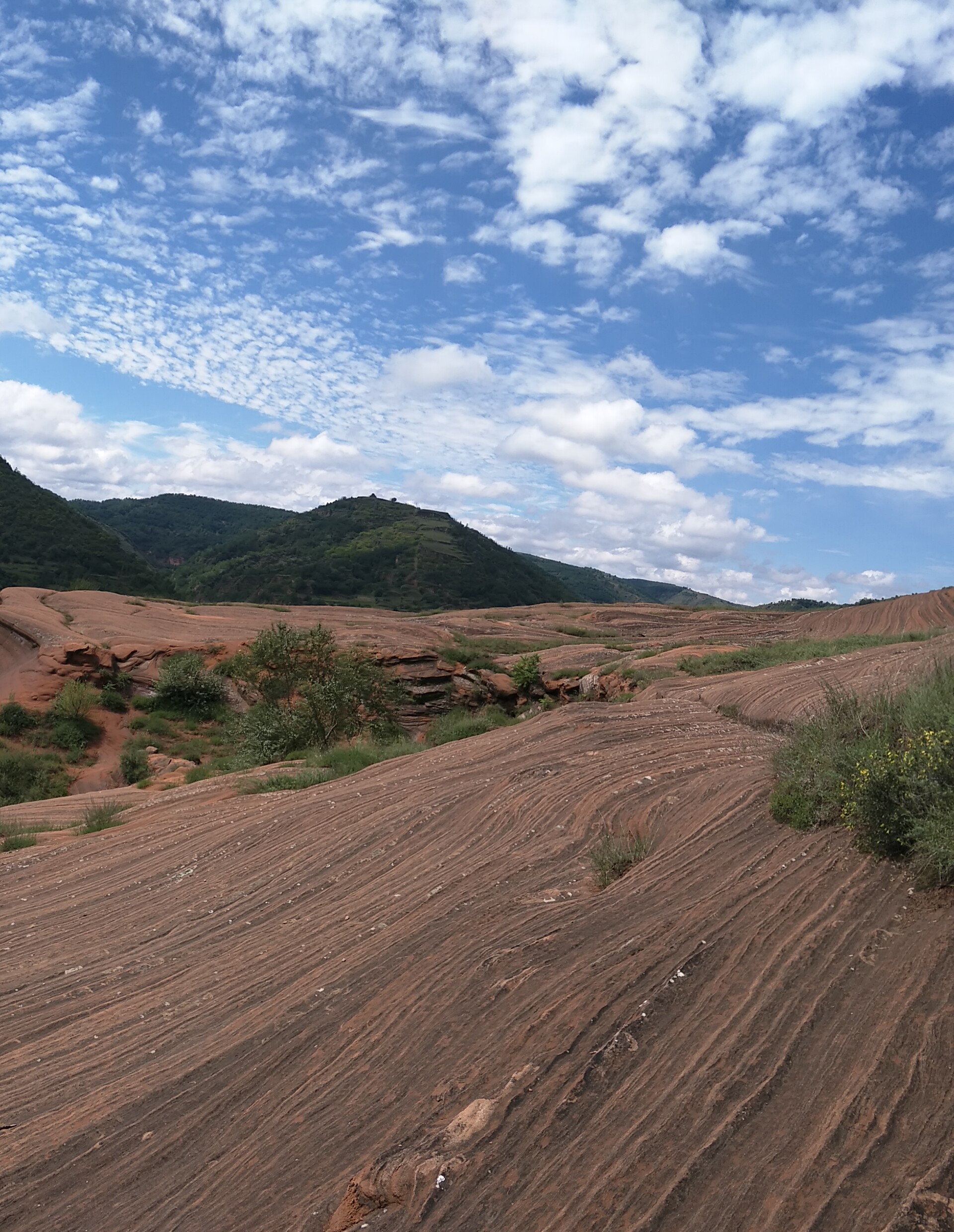 九游体育网站入口 -凶猛的df11